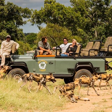 Kambaku Safari Lodge Заповедник Тимбавати Экстерьер фото