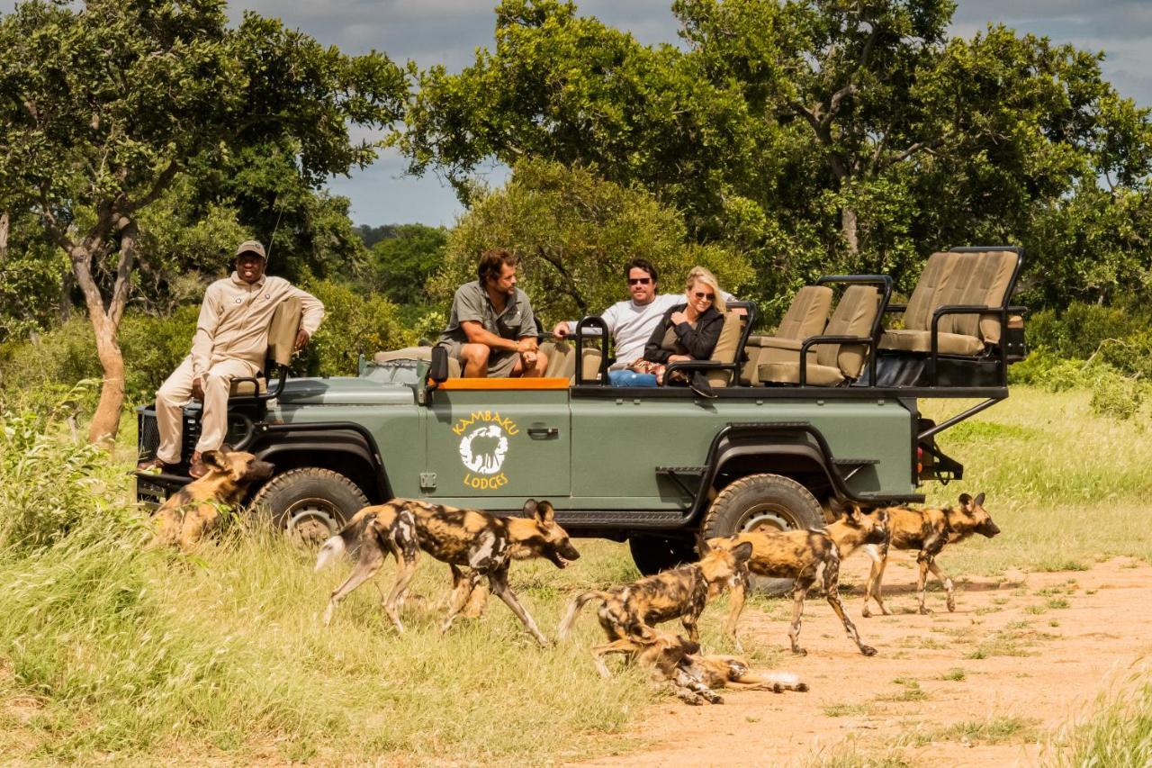 Kambaku Safari Lodge Заповедник Тимбавати Экстерьер фото