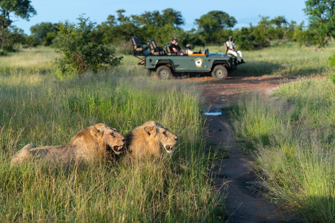 Kambaku Safari Lodge Заповедник Тимбавати Экстерьер фото