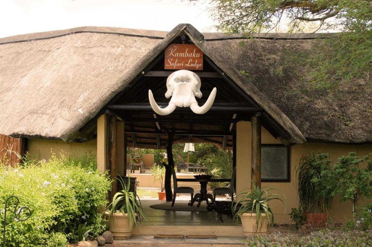 Kambaku Safari Lodge Заповедник Тимбавати Экстерьер фото