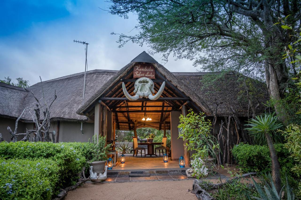Kambaku Safari Lodge Заповедник Тимбавати Экстерьер фото