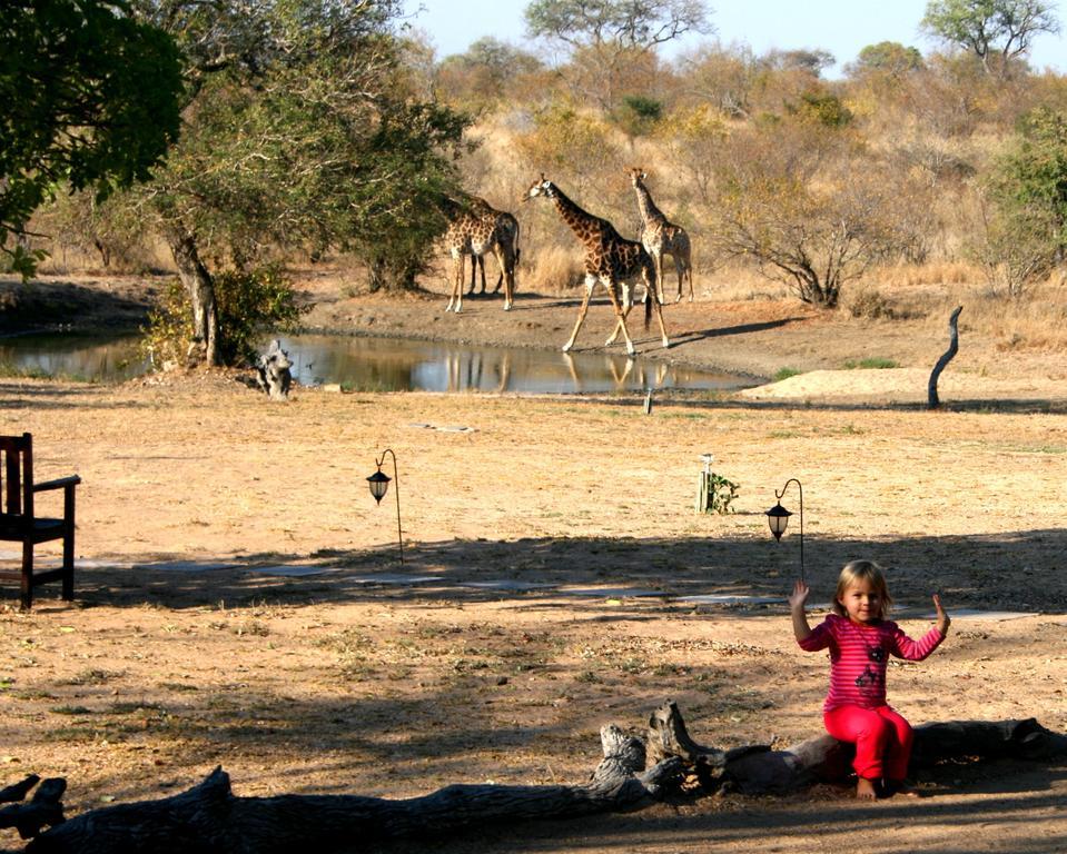 Kambaku Safari Lodge Заповедник Тимбавати Экстерьер фото