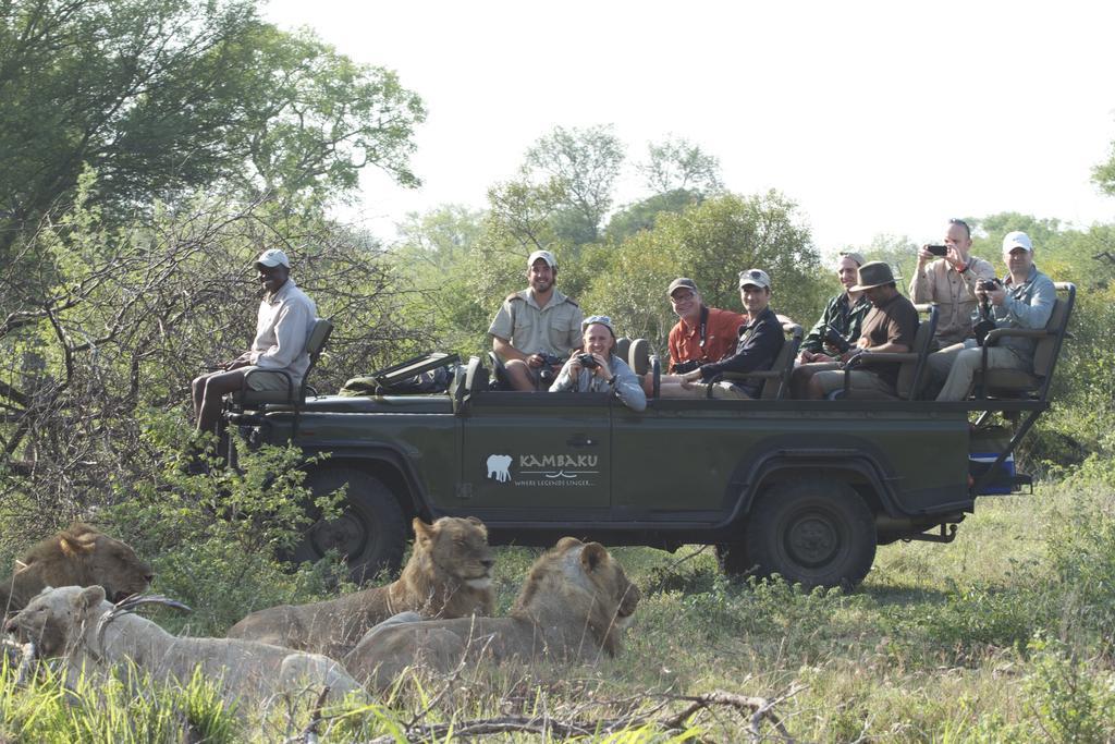 Kambaku Safari Lodge Заповедник Тимбавати Экстерьер фото